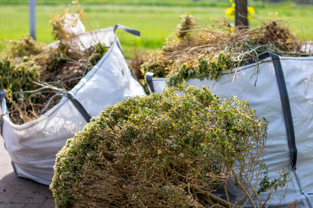 Professional Junk Removal in Forest Hills, PA